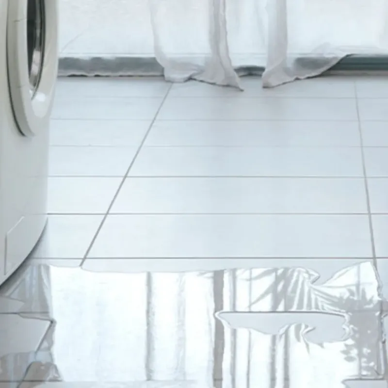 Appliance Leak Cleanup in Kihei, HI